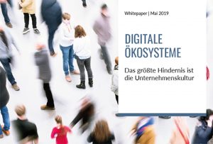 TME Whitepaper Digitale Ökosysteme - Hindernis Unternehmenskultur_Beitrag